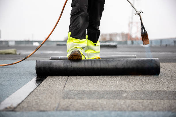 Professional Roofing Service in Versailles, KY